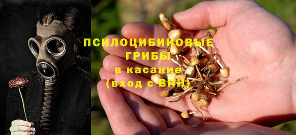 круглые Аркадак